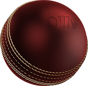 Cricket Ball